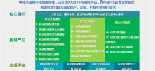 中技所技術(shù)交易服務(wù)寫入兩辦行動(dòng)方案，驅(qū)動(dòng)信息技術(shù)咨詢服務(wù)發(fā)展