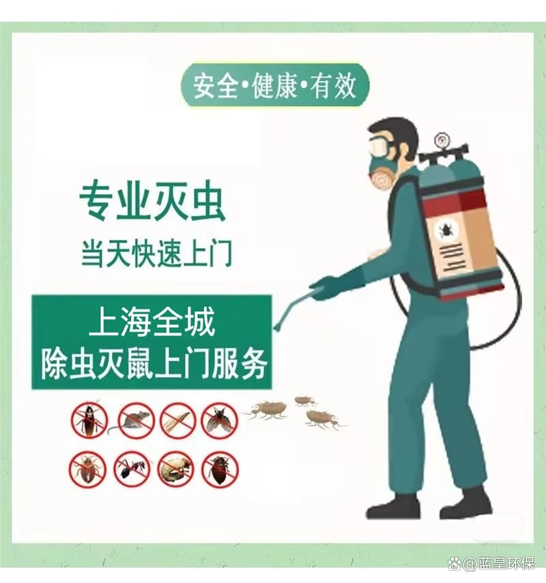 上海殺蟲公司,上門除蟲滅鼠,上海除四害消殺四害24小時上門