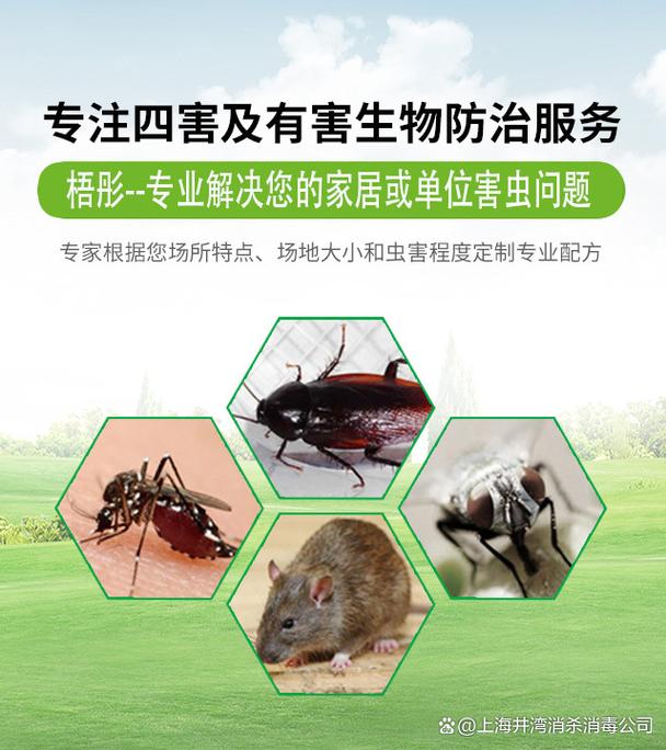 上海城市消殺公司 專業除四害，快速滅老鼠、蜈蚣、臭蟲、螨蟲