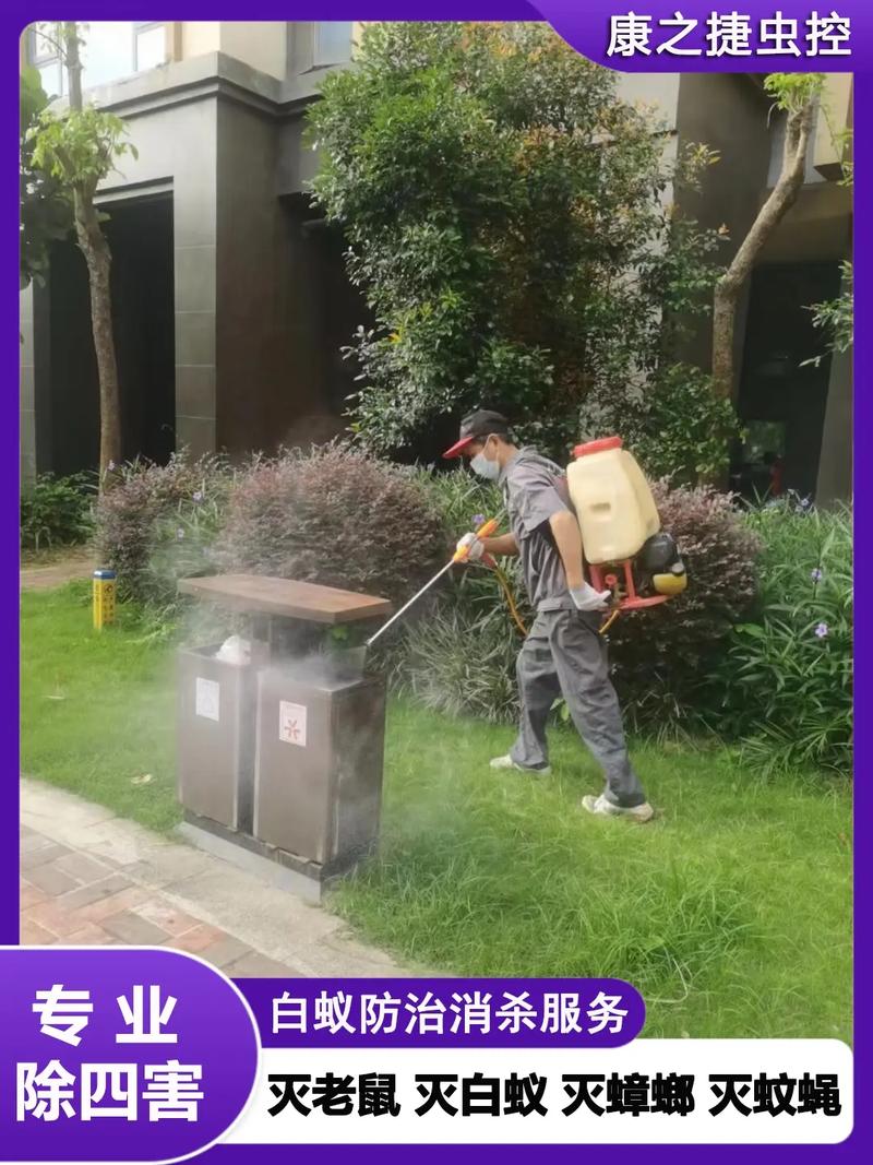 深圳寶安區滅四害公司,深圳白蟻消殺機構,康之捷滅鼠殺蟲公司采