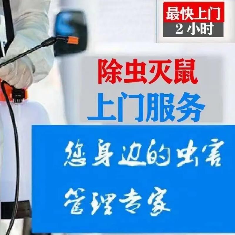 蘇州餐飲店滅鼠殺蟲滅蟑螂滅螞蟻滅白蟻防治 專業四害消殺服務全指南