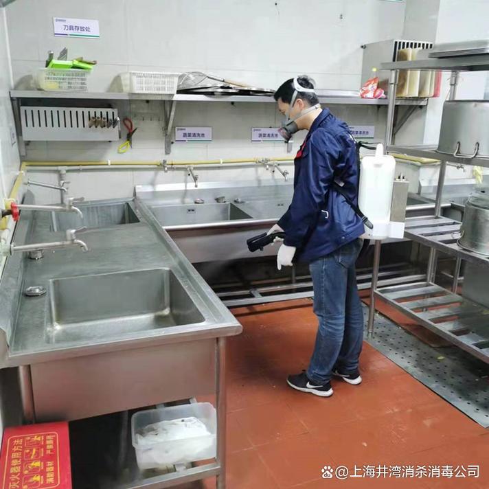 上海專業消殺服務 全面消滅四害，守護潔凈空間