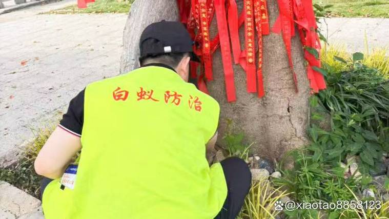 句容市滅臭蟲公司電話 本地快速上門四害消殺服務