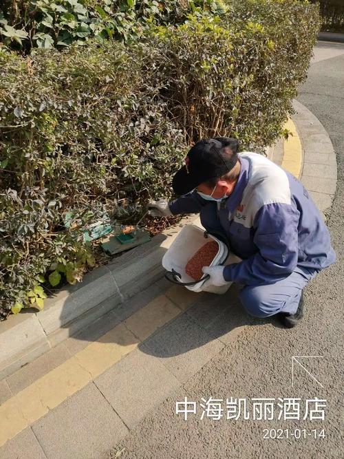 鴻彩云公司在龍城街道服務轄區進行"四害"消殺作業簡報2021年1月14日